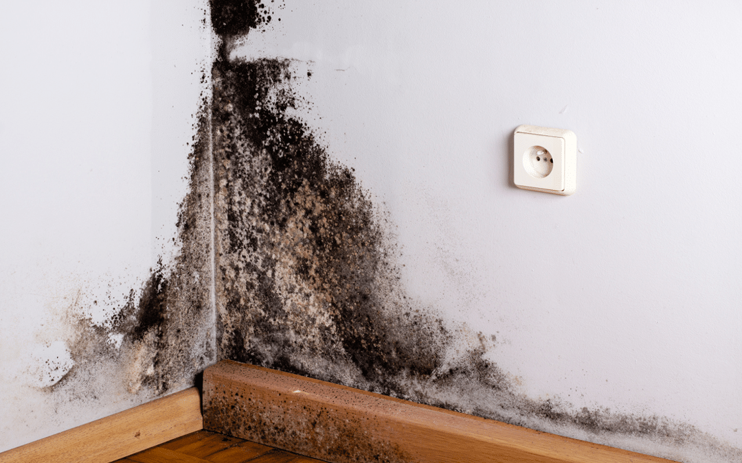Problèmes d’humidité des murs dans les maisons